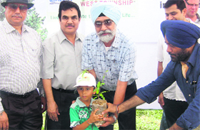 An official gives a sapling to a child during a plantation drive at Mullanpur on Sunday.