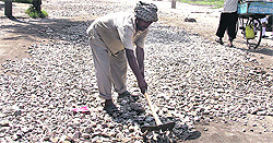 MC workers carry out repair work on a dilapidated road leading to Baba Sodal Temple