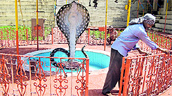 A labourer paints grills inside the temple in Jalandhar on Sunday
