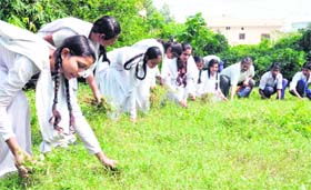 National Service Scheme volunteers carry out a cleaning drive in Haridwar on Monday
