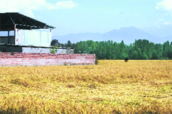 A structure constructed on a piece of agricultural land in Anantnag district.
