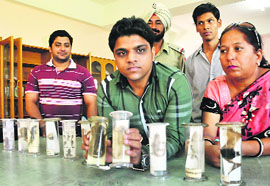 A team of People For Animals with the seized specimens at DAV school, Phase X, Mohali, on Wednesday.