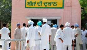 A shop selling seeds witnesses a huge rush of buyers at the Kisan Mela in Bathinda on Thursday