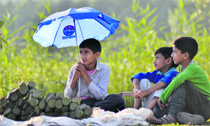 Kashmiri children wait for customers to sell lotus fruit on the banks of Dal Lake in Srinagar on Friday.