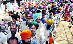 People queue up to pay obeisance at Guga Mari Mandir during Chhapar Mela in Mandi Ahmedgarh on Friday