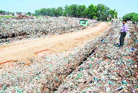 The passage cleaned at the Bhaktanwala dump yard to facilitate the garbage trolleys to reach conveniently at the right place to dump the garbage in Amritsar.