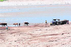 Despite district administrations ban on mining and quarrying activities from the Tawi, a tractor trolley collects gravel from the riverbed