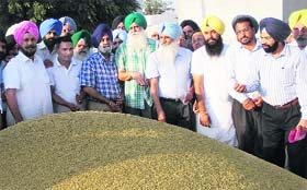 Punjab Mandi Board Chairman Ajmer Singh Lakhowal(fifth from right) during the start of procuremet process in Khanna on Monday