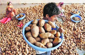 Forty per cent of fruits and vegetables and 10-15 per cent other food items go waste annually
