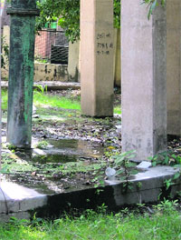 Water accumulated under a tank in the Civil Lines area.