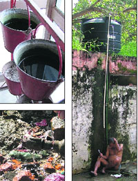 Clockwise from top: Mosquitoes breed in water-filled buckets at a shopping complex in Ghumar Mandi; a person takes a bath under an overflowing tank at Rakh Bagh; and a leaking water pipe at Guru Nanak Pura in Ludhiana.