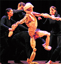 Artistes from France present an item at the DPS, Sector 40, Chandigarh, on Wednesday