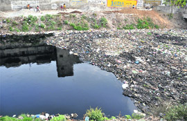Garbage strewn around Budda Nullah in Ludhiana. 