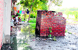 Pools of dirty stagnant water can be seen everywhere at Guru Gobind Singh Nagar in Amritsar