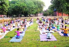 Jail inmates perform yogasanas during the prison smart course of the Art of Living foundation on the premises of the district jail, Sonepat. 