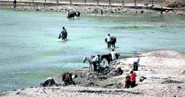Illegal quarrying under way at a Ganga ghat near Brahamkund, Har-ki-Pauri, in Haridwar on Friday.