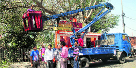Employees of the Power Development Department prune a tree near the Townhall in Jammu on Friday.