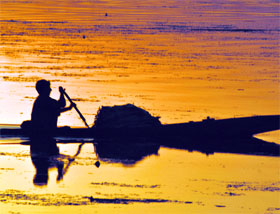 A man carries weeds in a boat as the sun sets on the Dal lake.