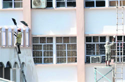 Workers paint residential quarters for government staff in Jammu. Tribune photo: Inderjeet Singh