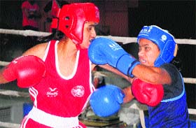 Pugilists in action during a boxing tournament at the Panjab University Gymnasium Hall in Chandigarh on Sunday
