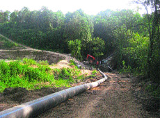 A view of Jugahan village, where employees of Jain Irrigation System Private Limited have started work and felled a large number of trees without acquiring the land. 