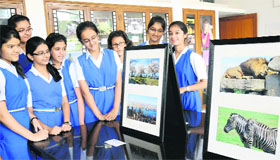 Students with the photographs displayed at the exhibition organised by Carmel Convent School in Chandigarh on Friday.