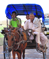 Its business as usual for a horse cart puller at RS Pura sector in Jammu.
