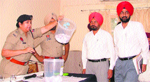 A draw of lots for the allotment of shops to cracker dealers under way in Ludhiana on Friday.