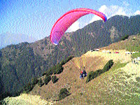 A file photo of a paraglider in action.