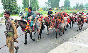 Nomads have started travelling towards the plains with their livestock in the Valley. By the end of autumn, they will return to the mountains.