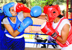 Boxers in action during a championship in Chandigarh on Monday.