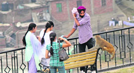 Visitors try to ward off a monkey away at Bag-e-Bahu garden in Jammu.