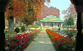 A view of Shalimar garden in Srinagar on Monday.