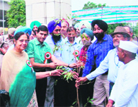 Deputy Commissioner Rajat Aggarwal and others plant a sapling at Shahid Madan Lal Dhingra Park in Amritsar.