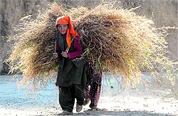 Several schemes exist for the destitute and single women.