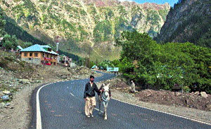 A shepherd walks with his steed on the Srinagar-Leh highway in Sonamarg. Sonamarg or golden meadow is a popular tourist resort northeast of Srinagar.
