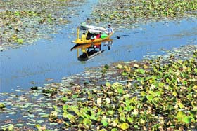 Tourists enjoy a boat ride on the Dal Lake in Srinagar on Wednesday