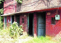 Quarters of the non-teaching staff in a dilapidated condition at Punjab Agricultural University in Ludhiana