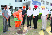 Seechewal plants a sapling