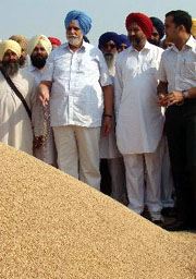 Punjab Irrigation Minister Janmeja Singh Sekhon takes stock of paddy procurement at the grain market in Bathinda on Friday.