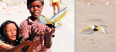 Two children adjust a bird made as a decorative piece for the festive season in Bathinda on Sunday; one such bird hangs from a tree branch awaiting a customer