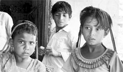 Meo girls continue to drop out after class VIII in Mewat with just 3 per cent reaching Class X and XII.