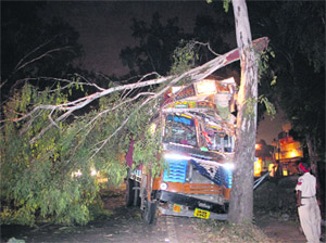 The truck which rammed into a tree near DAV College overbridge in Jalandhar on Sunday. 