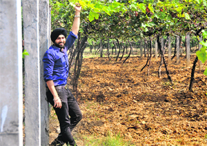 Harsh Paul Singh Takkar 