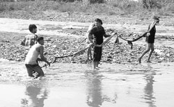 Divers look for Surjeet Kumars body in Ghaggar on Thursday. A Tribune Photograph