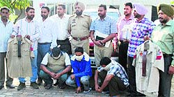 The arrested gang members in the police custody in Ludhiana on Thursday