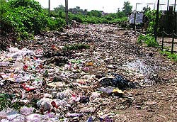 Garbage lies strewn all over in a locality at BRS Nagar in Ludhiana