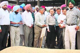 Sudhir Kumar, Secretary, Food and Civil Supplies, Government of India, during a visit to Salem Tabri grain market in Ludhiana on Friday.