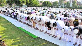 Eid-ul-Azha prayers in Jammu on Saturday.