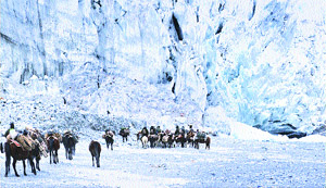 Banners have ensured peace along the LAC. Here, ITBP men on horses are taking essential supplies to a forward post along the LAC in the Ladakh region. 